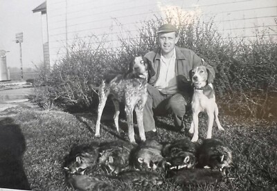 ORIGINAL 1957 PHOTO MAN HUNTING DOGS RACCOONS & MUSKRATS 5 X 3.5  I
