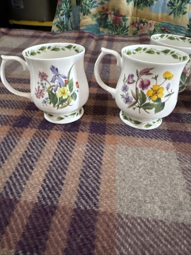 Queen's The Royal Horticultural Society The Garden Collection 4 Cups Mugs - Picture 6 of 12