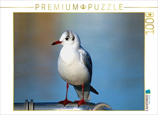 Calvendo Puzzle Seagull Pick | 1000 Pieces, Finished Size 25.2 × 18.9 In (64 × 4-image