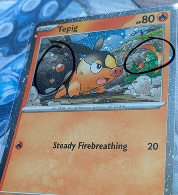 Tepig *2 SWIRLS 1 FART* #029/217 (Ascended Heroes) ASC - Cosmos Pokémon NM
