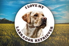 I Love My Labrador Retriever Sticker Decal Waterproof Vinyl Art