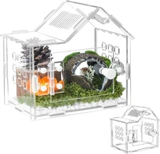 Jumping Spider Enclosure for Small Species Acrylic Reptile Terrarium Habitat ...