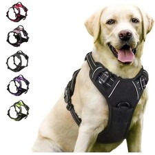 Dog Collar Harness Leash Set  Vest Puppy Accessories Small Medium Dogs USA