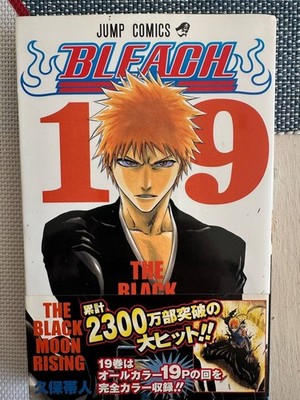 BLEACH Vol 19 Japanese Manga Shueisha Jump Comics 2005 1st Print + OBI (Damaged)