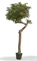 Artplants Kunstbaum Japanischer Ahorn Kimka, Naturstamm, GrüN-Rot, 275Cm