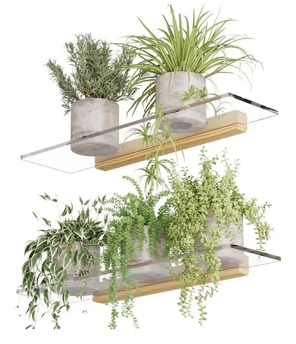 Acrylic Floating Shelves with Solid Wood Base, Wall Mounted Shelf 22.8 in.......