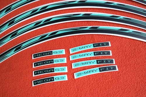 CAMPAGNOLO EURUS CELESTE - BIANCHI COLOR REPLACEMENT RIM DECAL SET FOR 2 RIMS - Imagen 6 de 11