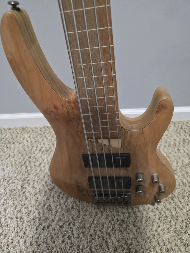 Esp Ltd B 205 5 String Fretless Bass - Image 4 of 4