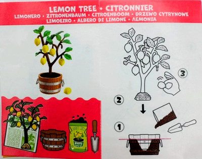 NEW MGA Miniverse Make It Mini NATURE Series 3 LEMON TREE PLANT HTF