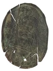EXCAVATED CIVIL WAR RELIC SHAKO HAT BADGE FROM GRAND ECORE