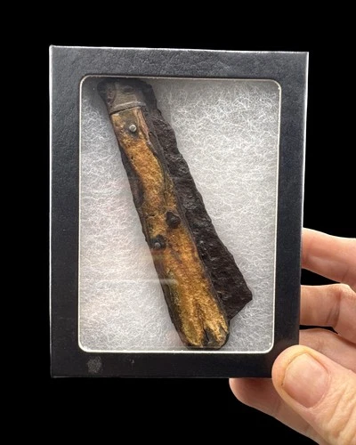 Civil War Dug Folding Pocket Knife Relic Richmond VA Confederate Camp