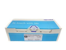 (25) EPPENDORF Twin.Tec 250uL 96-Well PCR Plates Blue Semi-Skirted 951020362