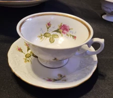 VTG Walzbrych Poland Footed Cup & Saucer Pompadour Moss Rose - w/5 extra saucers