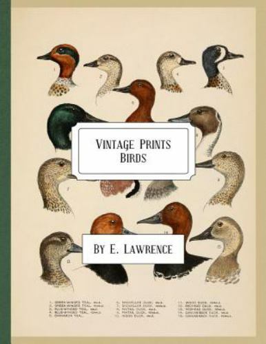 Vintage Prints : Birds, Paperback by Lawrence, E., Brand New, Free shipping i...