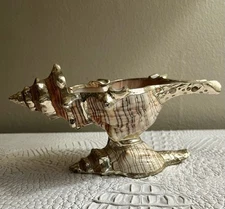 Mid Century Conch Ashtray With Metal Plated Stand And Rim