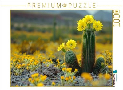 CALVENDO Puzzle Gelb blühende Kakteen | 1000 Teile Lege-Größe 64x48cm Foto-Puzzl