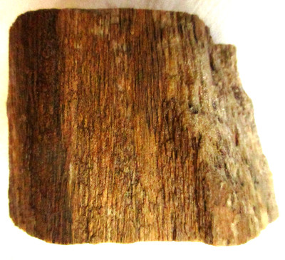 Tree Limb - Petrified Wood  - 580 gms - 1.25+ lbs - California - Brown - Black