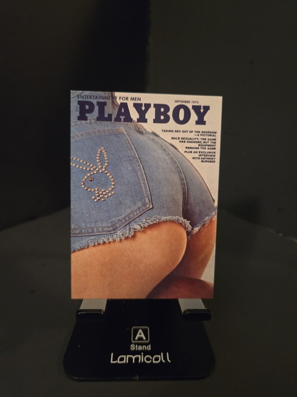 Playmate Cover Model Playboy COLECTORS Card! Retro Trading As Pictured 😍