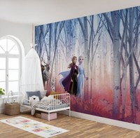 MäDchen Schlafzimmer Elsa Tapete Wandsticker EisköNigin 2 Disney Lila Blau Dekor