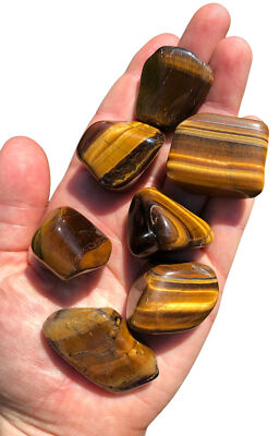 Tigers Eye Tumbled Stone (XL) Natural Tigers Eye Crystal from South Africa