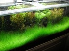 Picture 2 of 3