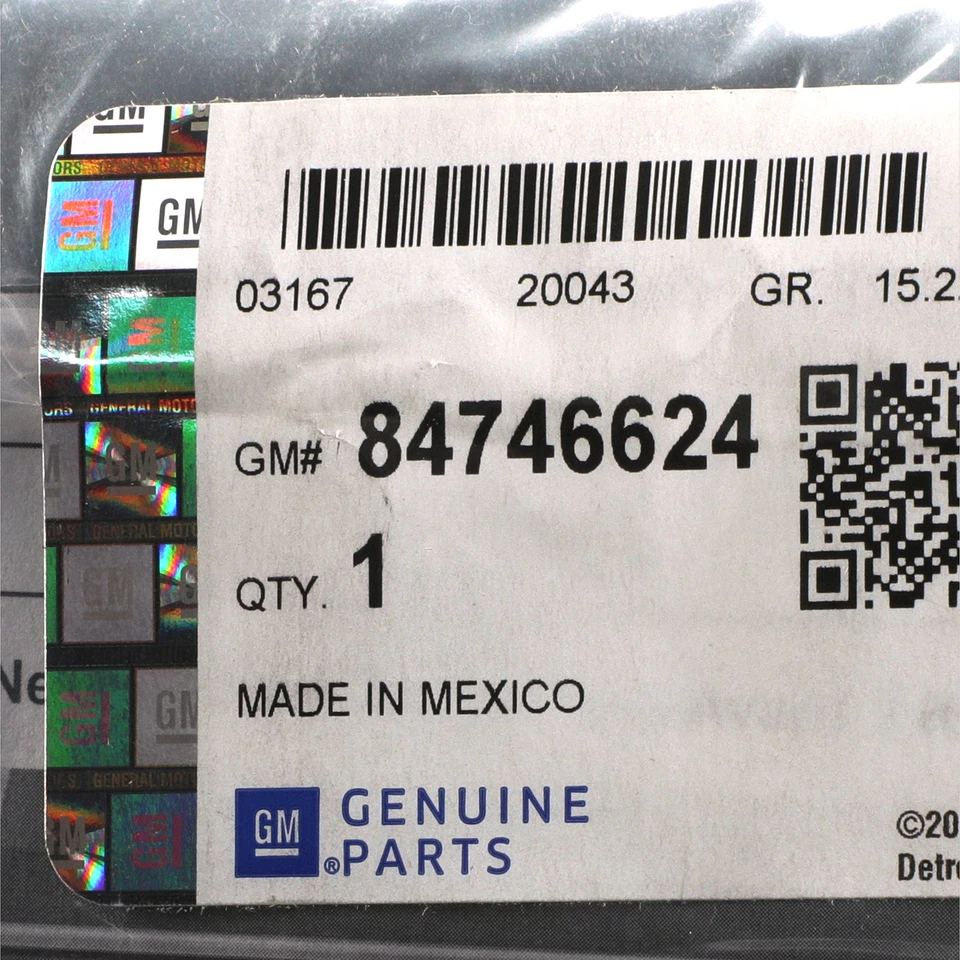 Juego de red de almacenamiento de área de carga trasera Chevrolet Corvette 2020-2025 OEM NUEVO 84746624 Foto 3 de 3