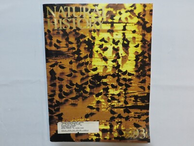 Natural History - 1993, May - Human Activities Affect Shorebirds 2W