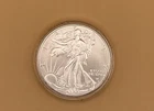 2023 American Eagle Silver Dollar Coin 1 oz GEM BU in Capsule .999 Fine
