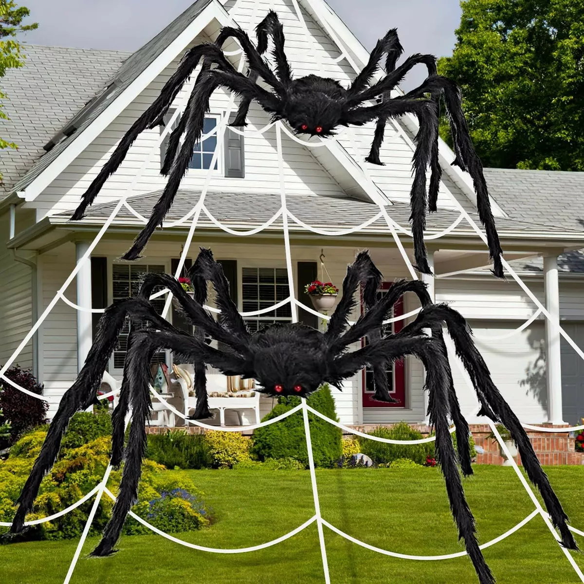 Plastic spider designs outlet