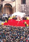 Imagen 7 de 8
