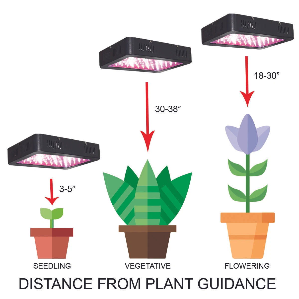 Grow kits with lights online