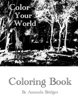 Color Your World - Coloring Book by Amanda R. Bridges (English) Paperback Book