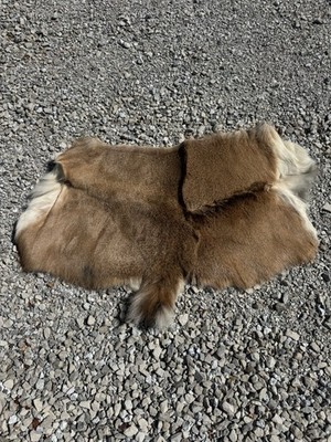 Deer Hide