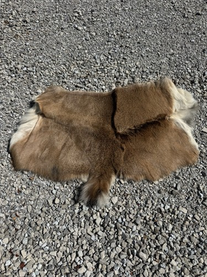 #ad Deer Hide $45.00