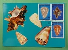 DR WHO 1977 FRENCH POLYNESIA FDC SEASHELL MAXIMUM CARD COMBO R50551
