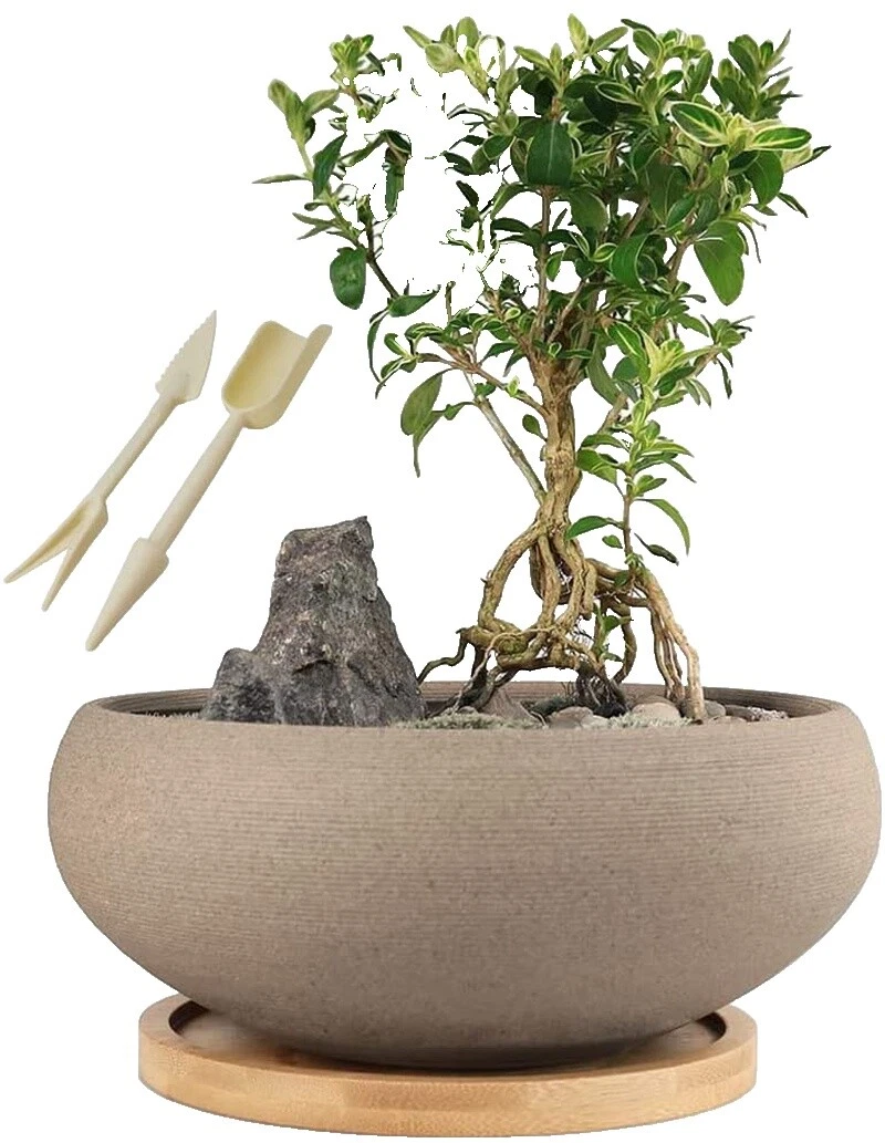 Round Plant Baskets, Pots, Window Boxes & Saucers