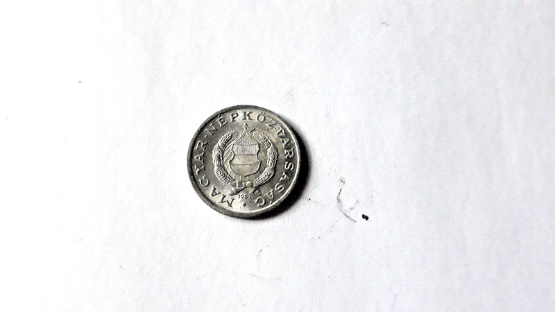 Sale! HUNGARY    1  FORINT    1989 256