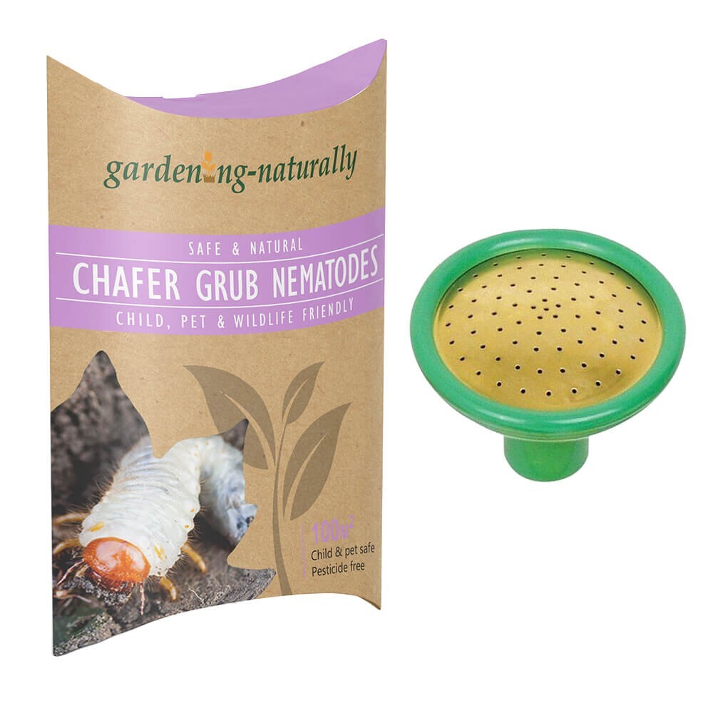 Chafer Nematodes Treats Up To 100 sq.m with Coarse Watering Can Rose