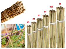 Bamboo Garden Canes 2ft–6ft Plant Support Stakes Strong Thick Sticks 5–100 Pack