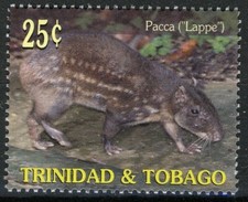 Trinidad & Tobago 2001, 25c Pacca VF MNH, Mi 703