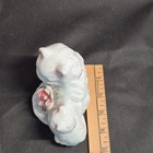 Picture 11 of 11