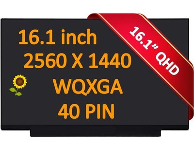 240hz 16.1'' Wqhd Laptop Lcd Screen Hp Omen 16-wf0066tx 16-wf0057tx 2.5k 2023
