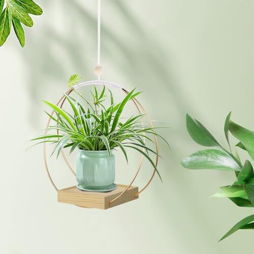 Plantadoras colgantes para plantas de interior, colgador de plantas con 1 paquete/base de oro + madera - Imagen 6 de 6