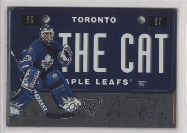 1996-97 Leaf Preferred Vanity Plates Felix Potvin #10