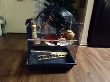 Gorgeous Bird Cage with Fun Bird Cage Accessories for Small Medium Birds . A