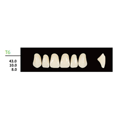 False Square Anteriors Upper T8 A4 Shade Synthetic Polymer Resin Denture Teeth