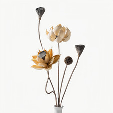 Handpicked Dried Flowers for Decoration - Assembly Needed, Great for Styling 01