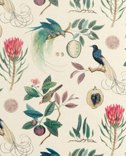 SANDERSON VORHANGSTOFF DESIGN Paradesia 3,1 METER FEIGE/INDIGO BAUMWOLLMISCHUNG