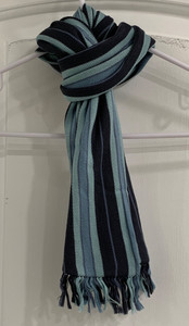 Fair Condition Banana Republic Women’s Blue Striped Silk Scarf with Fringe Ends