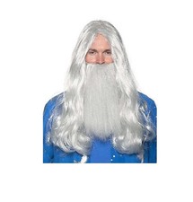 Wizard Wig Beard Set - Long Grey - Costume Accessory - One Size